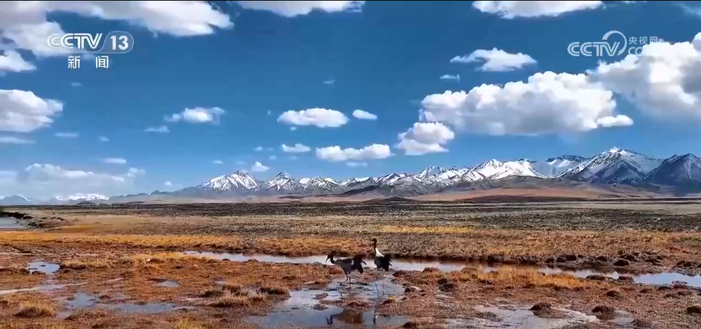 _奋进的青海心得_初心与使命铸就新青海精神高地